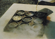 Spraying Method