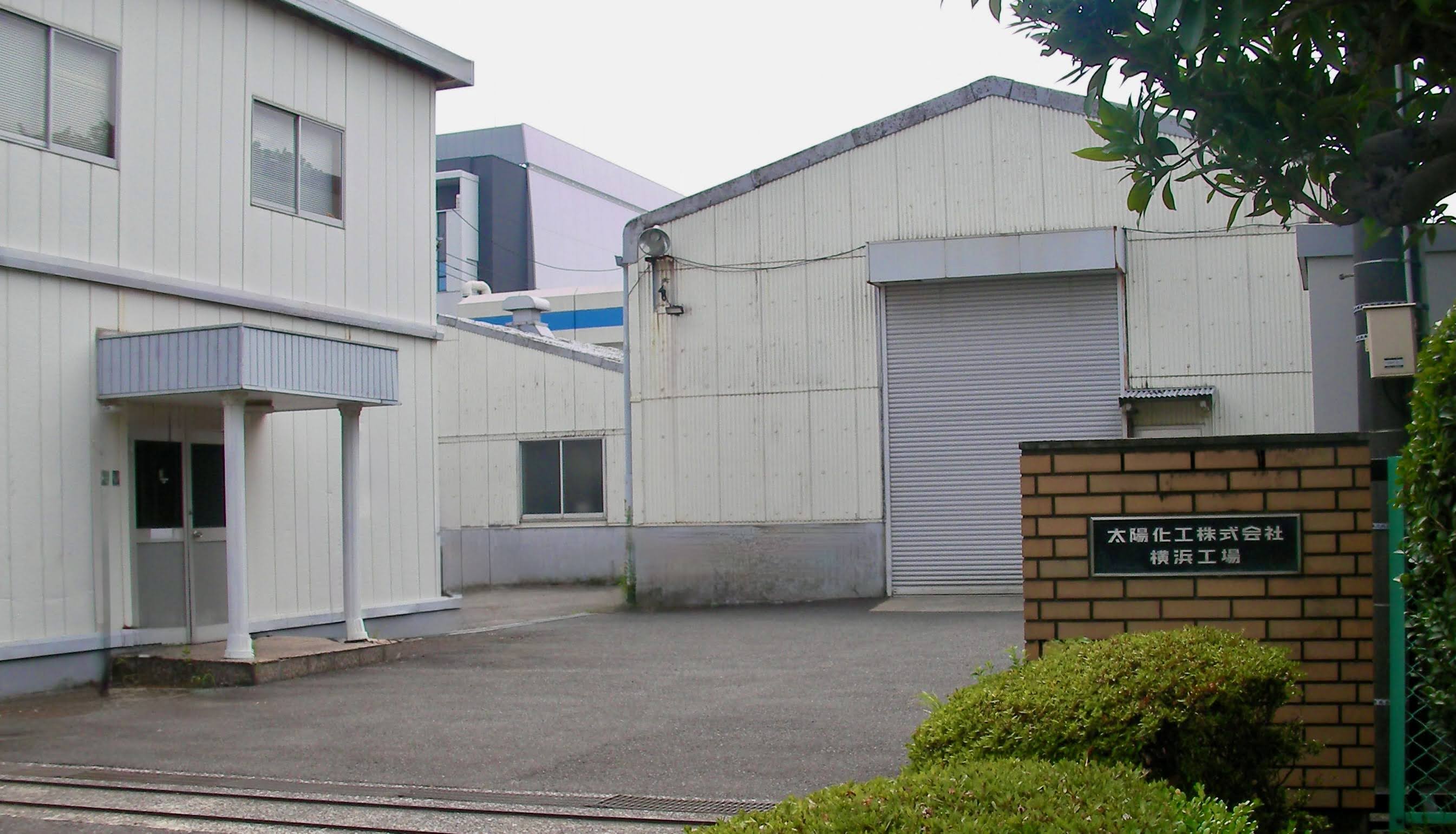 サンプル画像